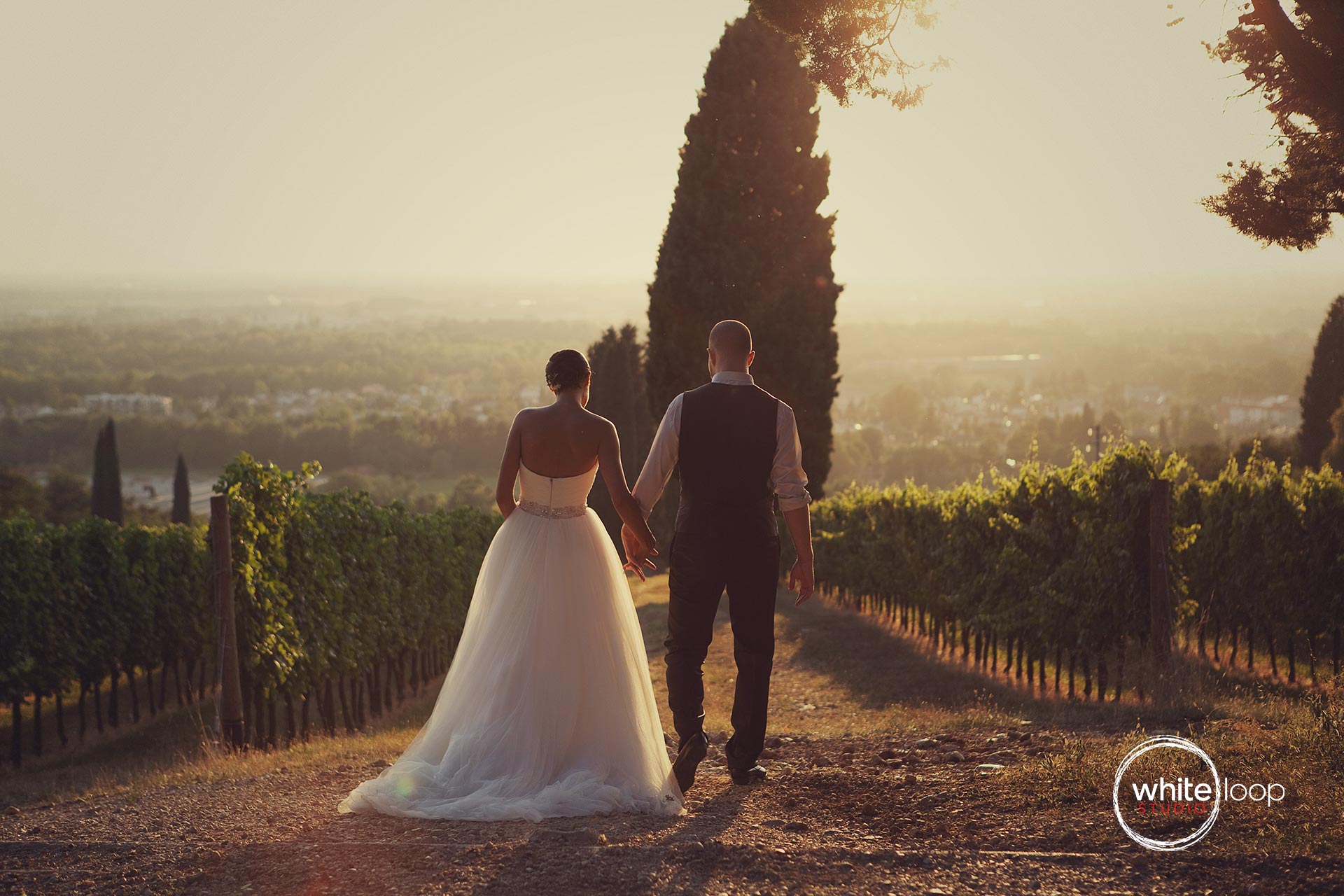 The bride and groom are holding each other hands while they are backlight in a North Italy grape field, the bride in the wedding dress and the groom in his suit.
