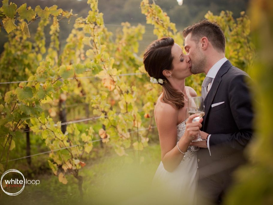 The bride and the groom are kissing through the grapes of a countryside field of Northern Italy.